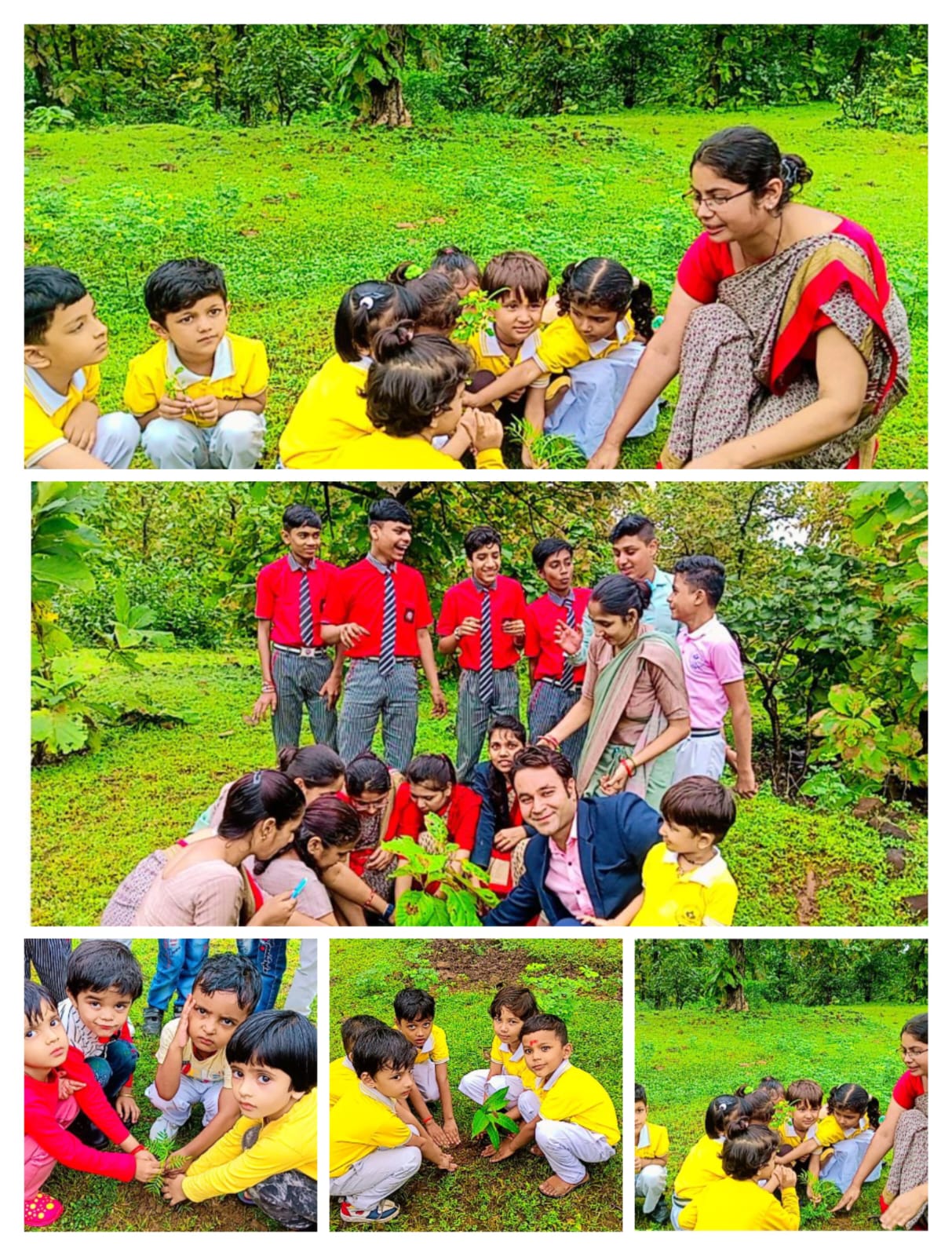 Group photo with planted trees